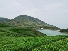 -嵛山岛