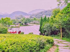 -安徽天堂寨风景区