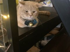 -MIMO CAFE(沙头角店)
