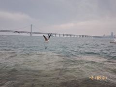 -星海广场
