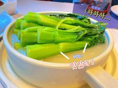 -点都德·毕德寮