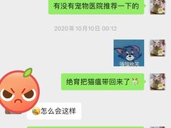 -严国平动物医院(德政总院)