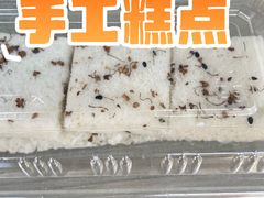 -鸣鹤古镇