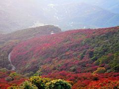 android_upload_pic-广州市石门国家森林公园