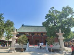 -天津大悲禅院