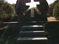 -汉拿树木园