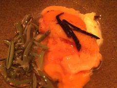 -地球美食剧场