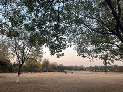 -太阳宫公园