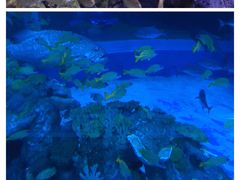 -成都浩海立方海洋公园