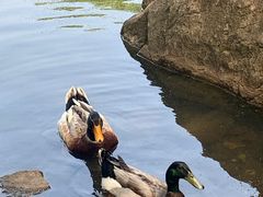 -白马涧龙池景区