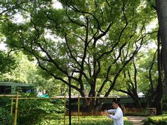-徐家汇源景区-衡山公园