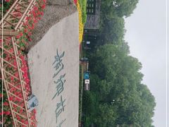 -桐乡植物园