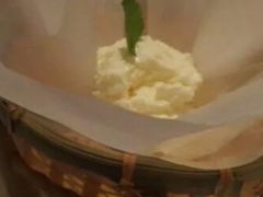 酸奶芝士-戈雅法餐厅(世界城广场店)