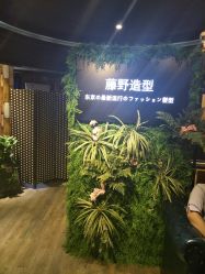 点击看大图 -藤野造型