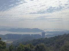 -黄贤森林公园