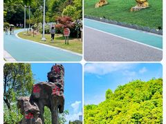 -观山湖公园