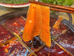 -赵美丽·重庆社区火锅·直营店(火车东站·中豪国际店)