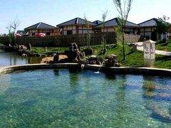 -仁爱团泊湖温泉中心