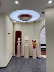-IP SALON