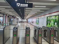 -桃浦新村(地铁站)