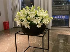 -汉庭优佳酒店(深圳宝安万达广场店)