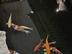 -金海华·华宴江南(斜塘店)