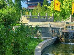 -大槐树寻根祭祖园