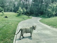 -北京野生动物园