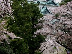 -名古屋城