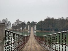 -东湖落雁景区