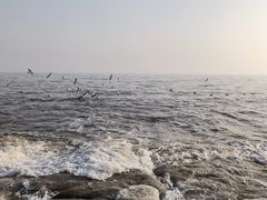 -老虎石海上公园