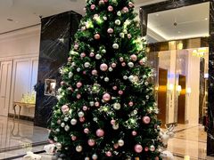 -东海朗廷酒店·廷廊 Palm Court