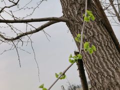 -汉长安城未央宫国家考古遗址公园