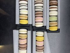 -BLACKSWAN黑天鹅(环球店)