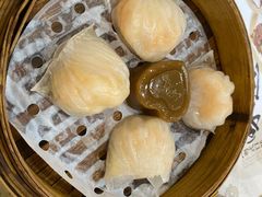 -赏点粤式点心(广州塔店)