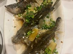 -古道村落(温汤店)