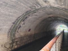 -白水寺森林公园