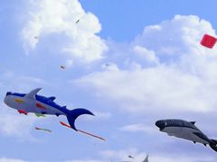 -潍坊滨海云门国际风筝放飞场