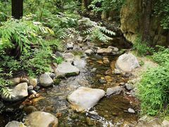 -碓臼峪自然风景区