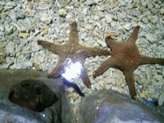 -多彩贵州城极地海洋世界