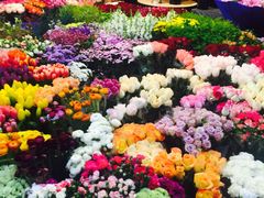 -双季花艺园艺市场(浦东店)