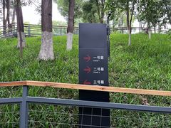 -马王堆汉墓遗址