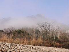 -九曲溪竹筏码头