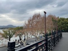 -楼外楼(西湖景区孤山路店)