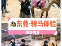 -李振强马术运动推广中心(南城店)