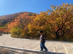 -建平天秀山森林公园