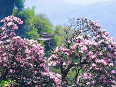 -光雾山旅游景区
