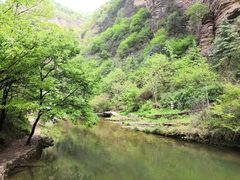 -洛阳白云山景区