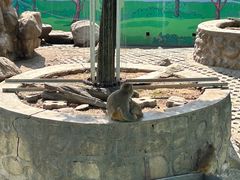 -西安秦岭野生动物园