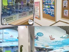 -龙格亲子游泳·水育早教运动中心(上虞钱江中心)